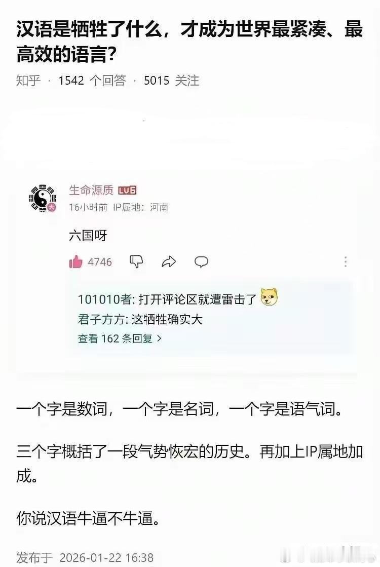 “汉语是牺牲了什么，才成为世界最紧凑、最高效的语言？”