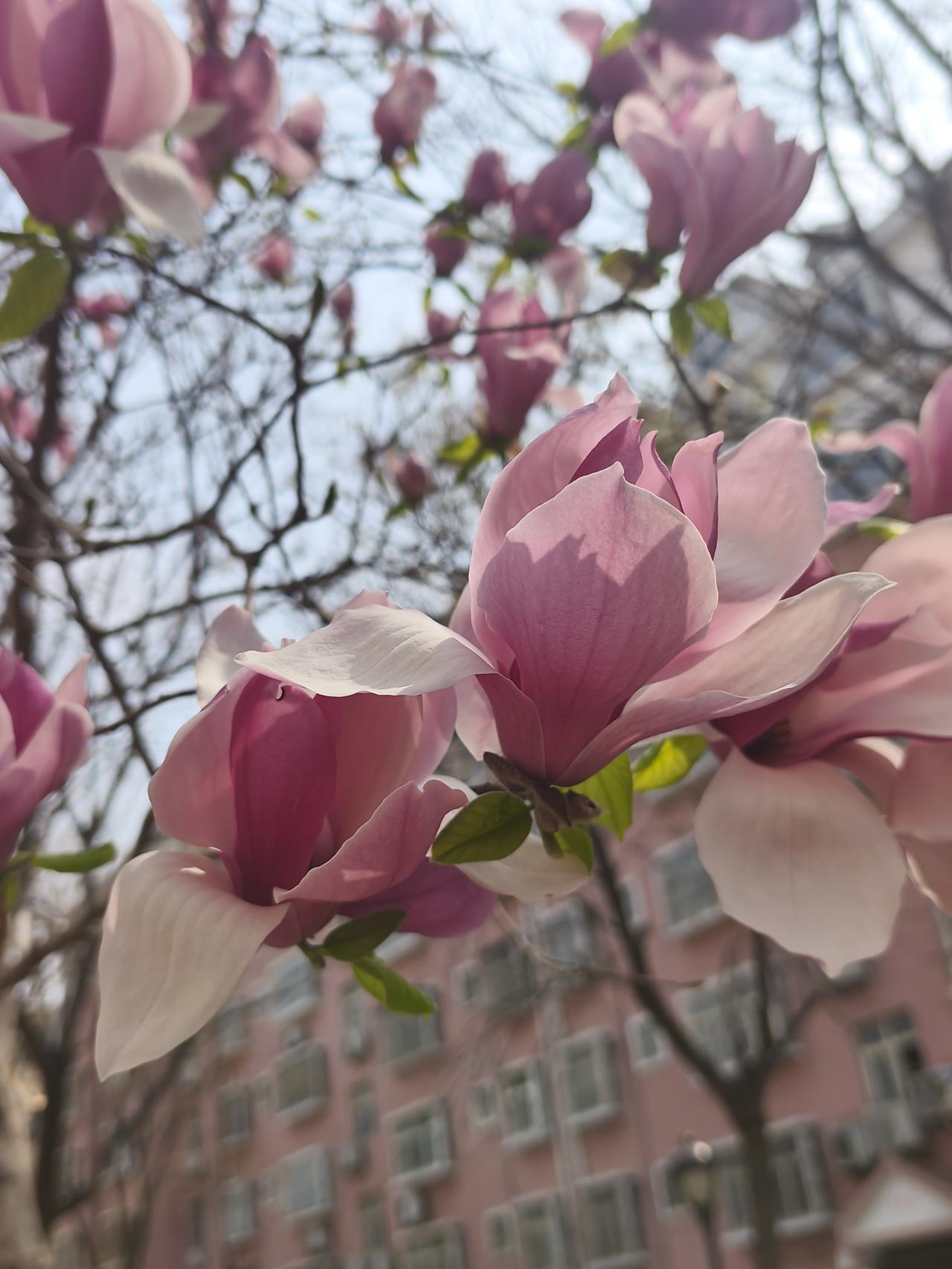 一桌子菜，吃不下去！是不是自己太矫情了，还是太讲究了？参加朋友的一个娶会。朋友