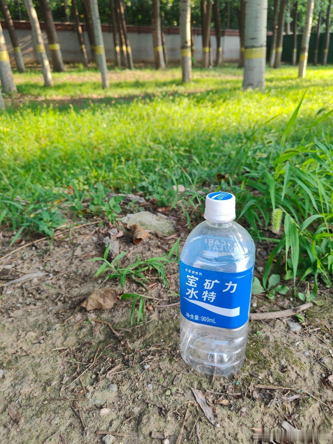 今天喝了两瓶宝矿力水特。这个水自从我跑步以后特别喜欢喝。自从知道了这个水品牌是日