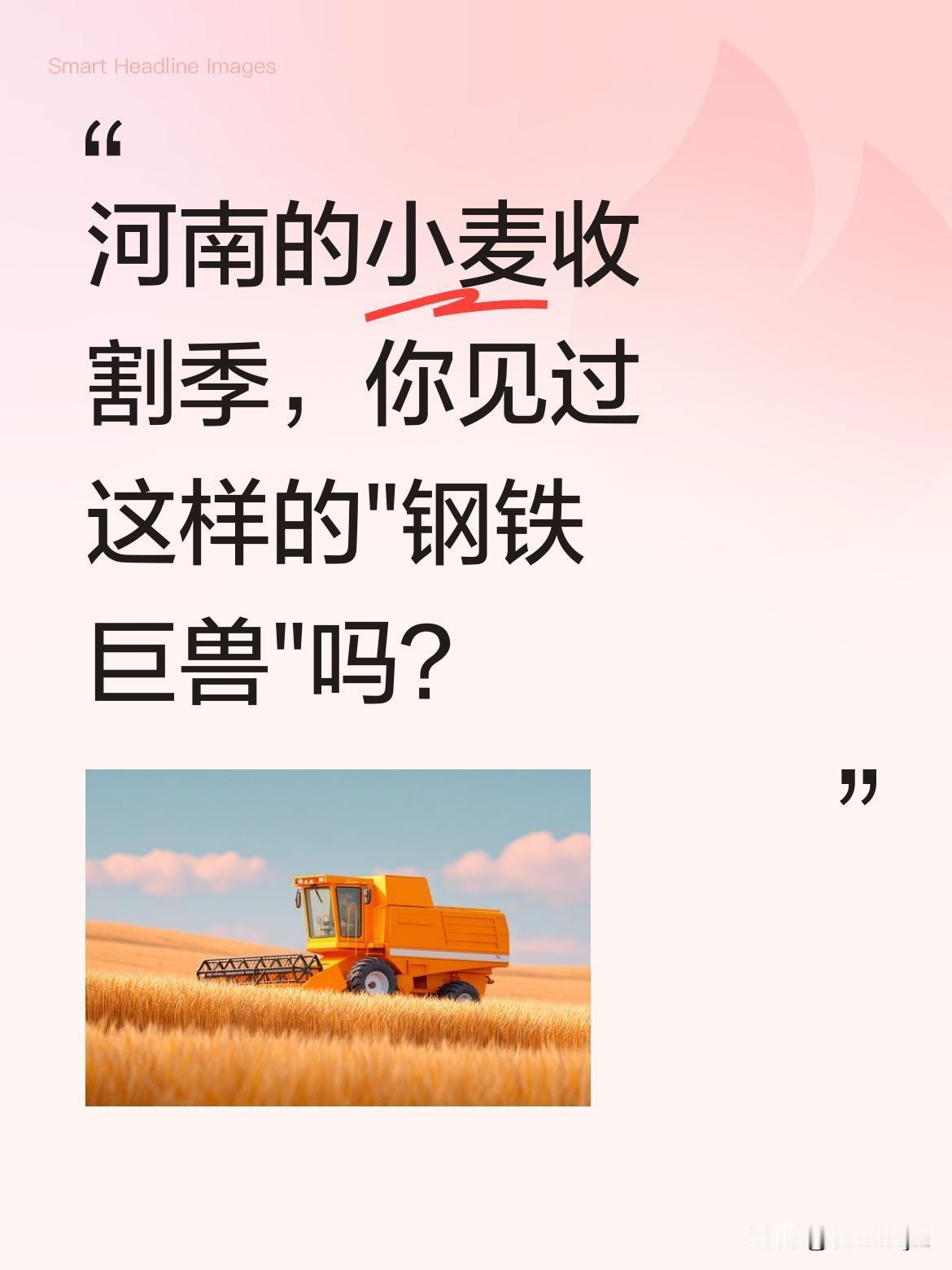 河南的小麦收割季，你见过这样的"钢铁巨兽"吗？中原粮仓迎来丰收季，克拉斯870