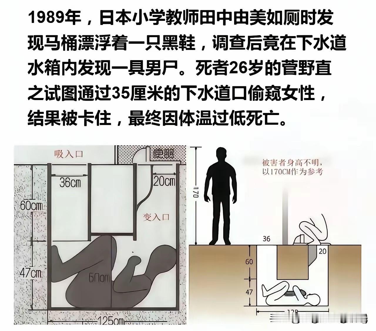 老天呐，这真是惊呆我了！
