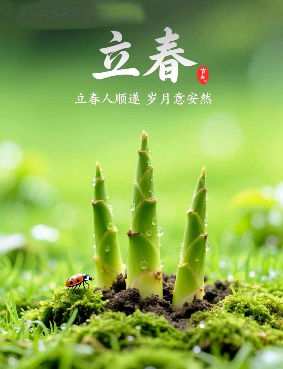 今日立春，无论多忙，牢记4忌讳：1不睡、2不关、3不脱、4不争今天是2026年