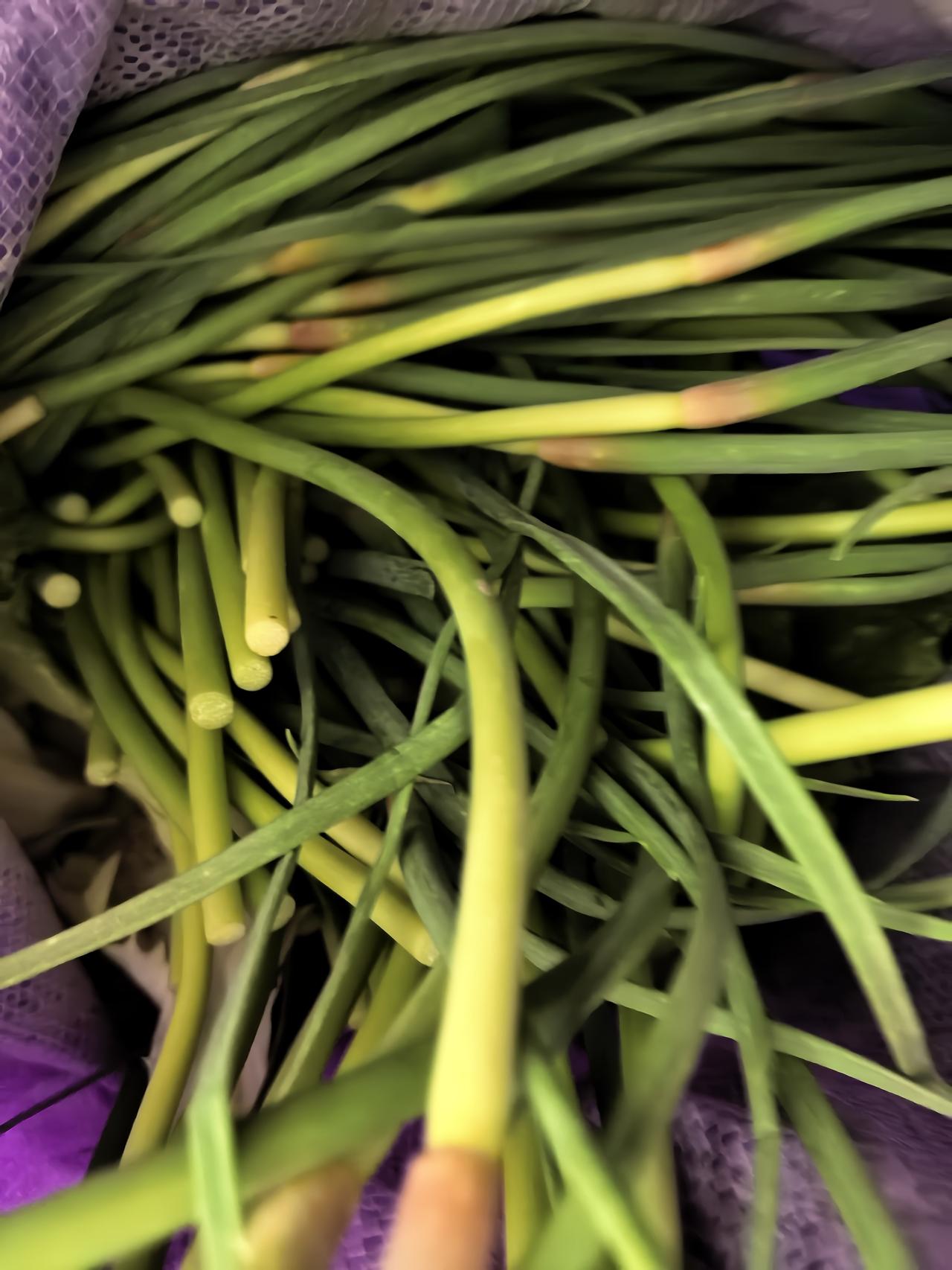 二姨家种了一亩多大蒜，这几天，抽了很多蒜苔。昨天傍晚，二姨给我们打电话，送来