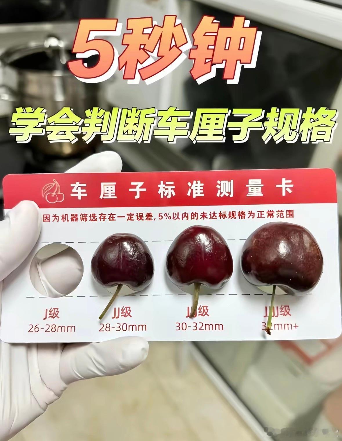 没有卡尺如何测量车厘子大小？那就用瓶盖大法车厘子