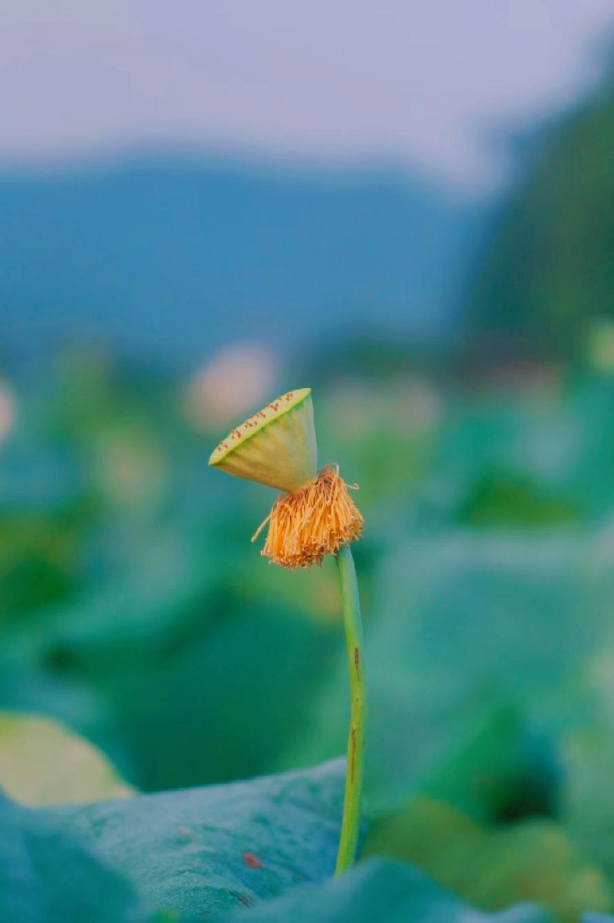 马斯克曾说:“一个人一直穷,原因只有一个,就是他们一直没有意识到,人与人之间利益
