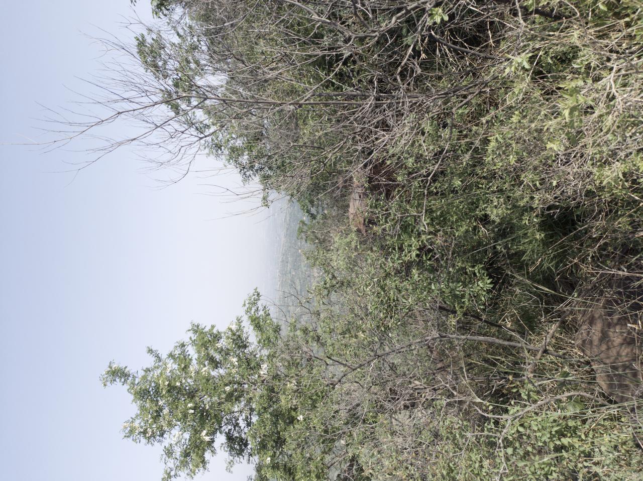 在单位里，如果领导的办法及思路伤害到了自己的利益，发发牢骚，说说怪话也不是什么事