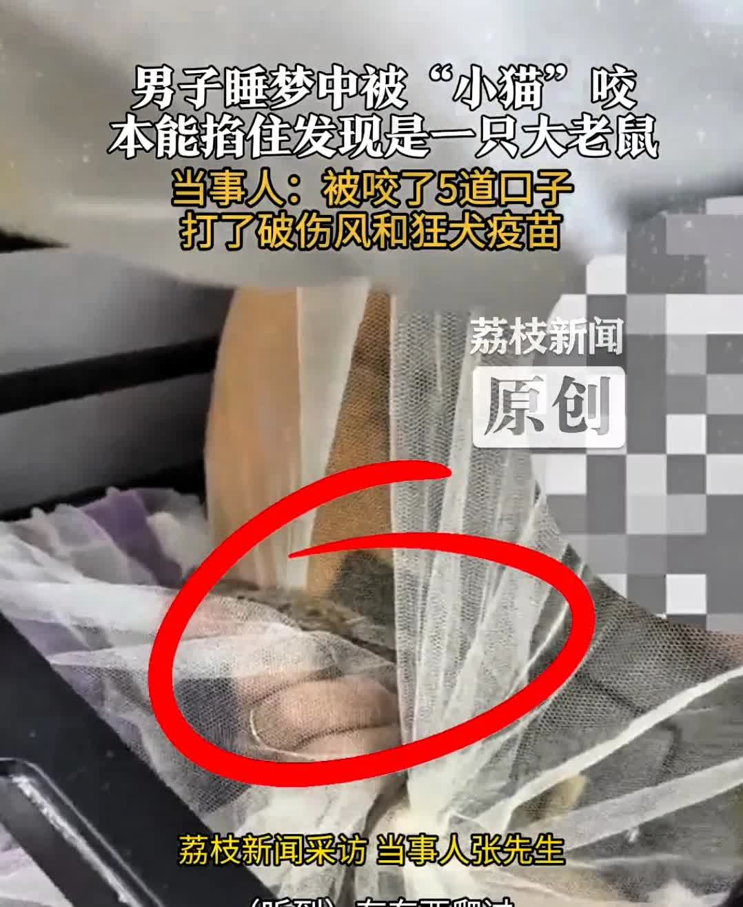 “太后怕了！”江苏无锡，一男子睡梦中感觉手边有什么东西爬过，毛绒绒的，他以为是家