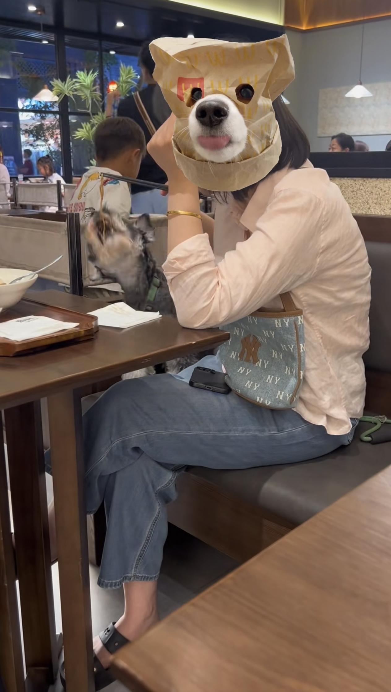 6月26日，河南郑州。网友发布视频，曝光星姨餐厅的店员不作为，不仅允许狗进入餐厅