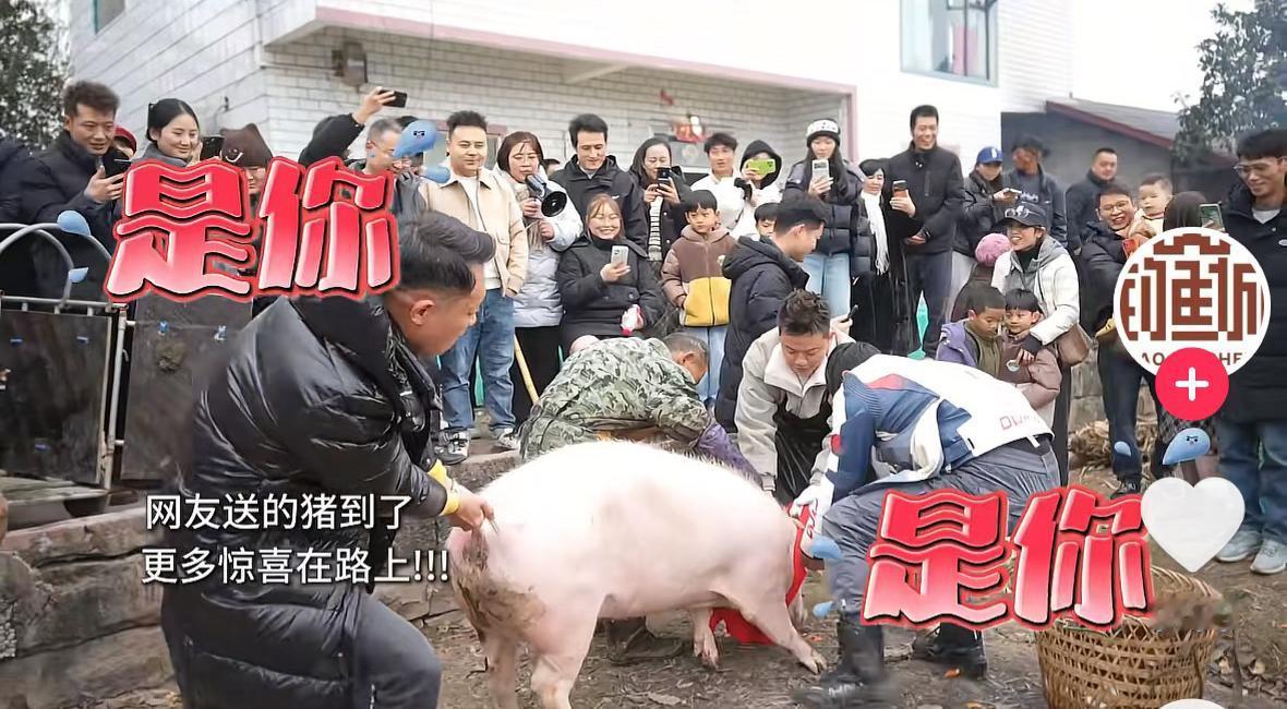 要说这次合川按猪活动最亏的，估计就是这位穿黑羽绒服的大哥了！他不是亏了两