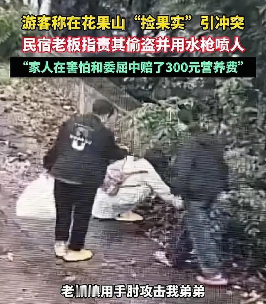花果山“捡果”冲突：是“偷”还是“捡”，良知才是唯一的判官。近日，花果