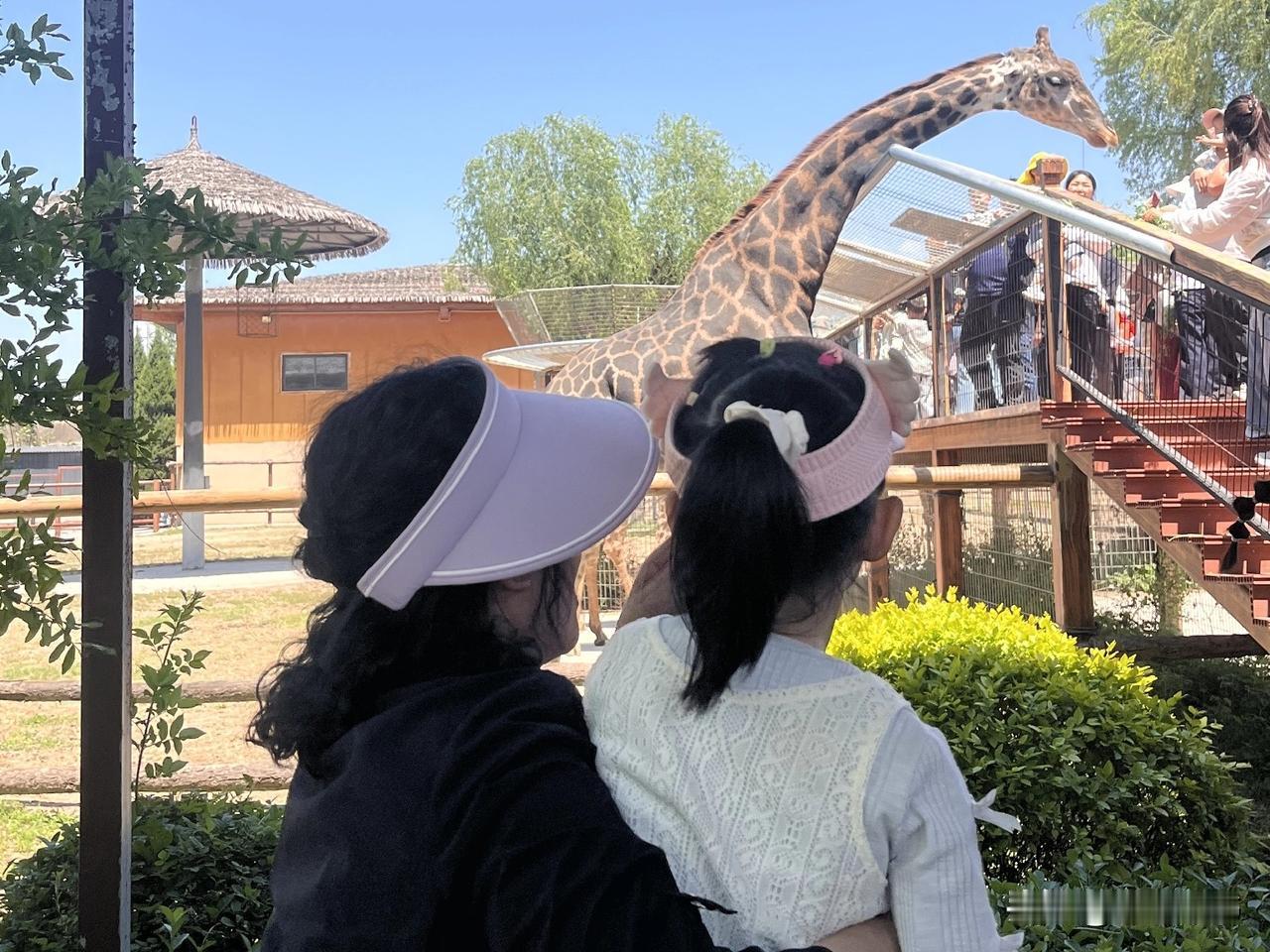 我当了很多年婆婆，才认同这句话的：婆媳关系不需要赢，只需要脱身。婆媳之间遇到了
