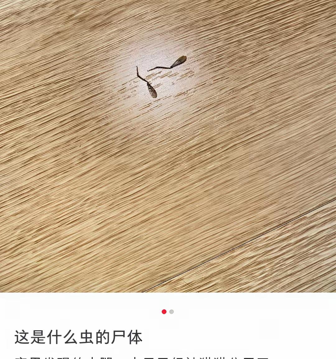 哈哈哈哈，笑不活了[笑着哭]