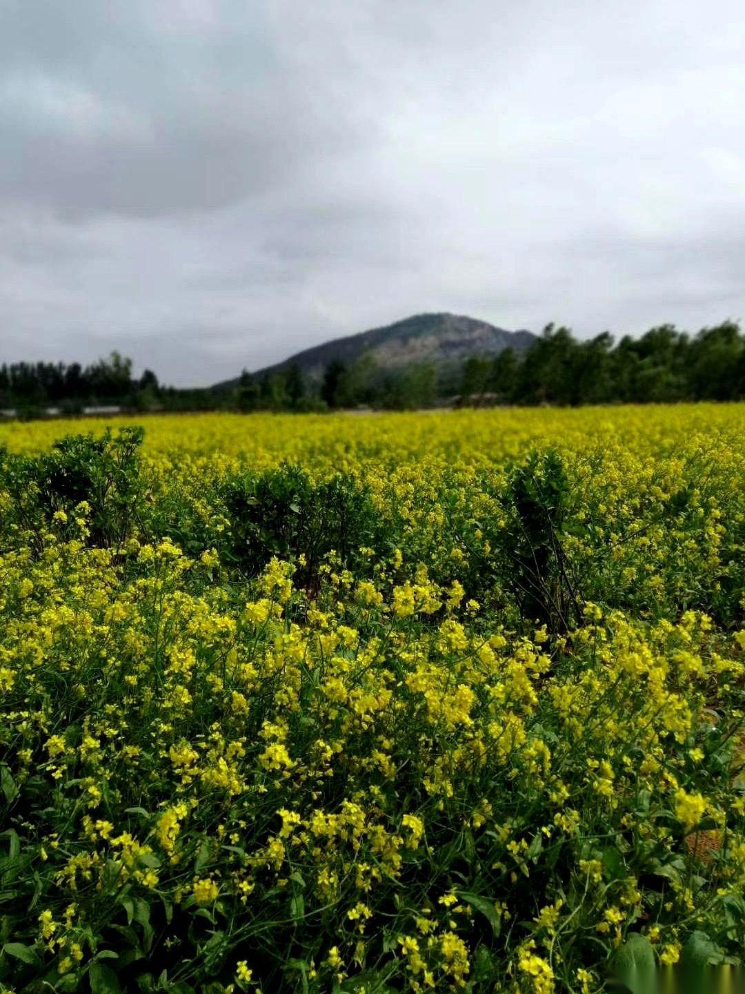 说句扎心的大实话，我老公，现在对我来说最大的作用，就是证明我不是个单身。他人就