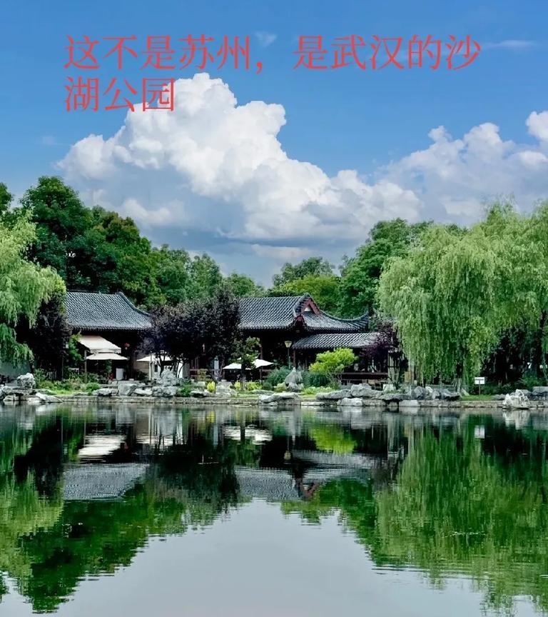 有少数网友说:武汉的夏天热的要死，武汉的冬天冷的要死。关于这个问题，我有话要说