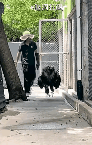 退休最体面的样子是：走时不纠缠。准备退休了，单位人事科直接打电话到本人，通知退
