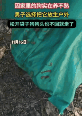 泪目！某地一男子养狗久了始终不亲近，实在养不熟，就把狗装进绿麻袋带到野外放生，松