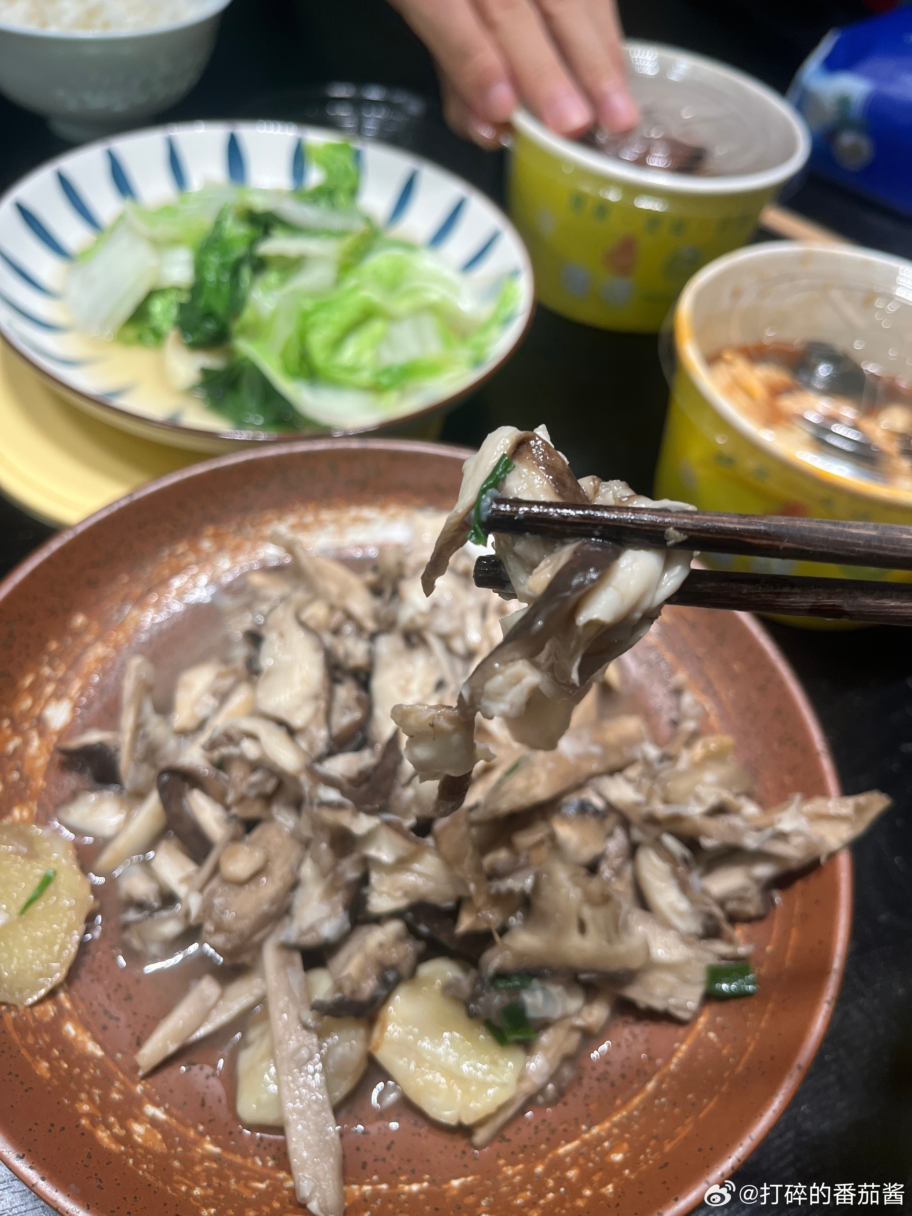 今天吃这个中华鹅膏菌，感觉像味道浓郁版本的平菇，比平菇香了五六倍不止