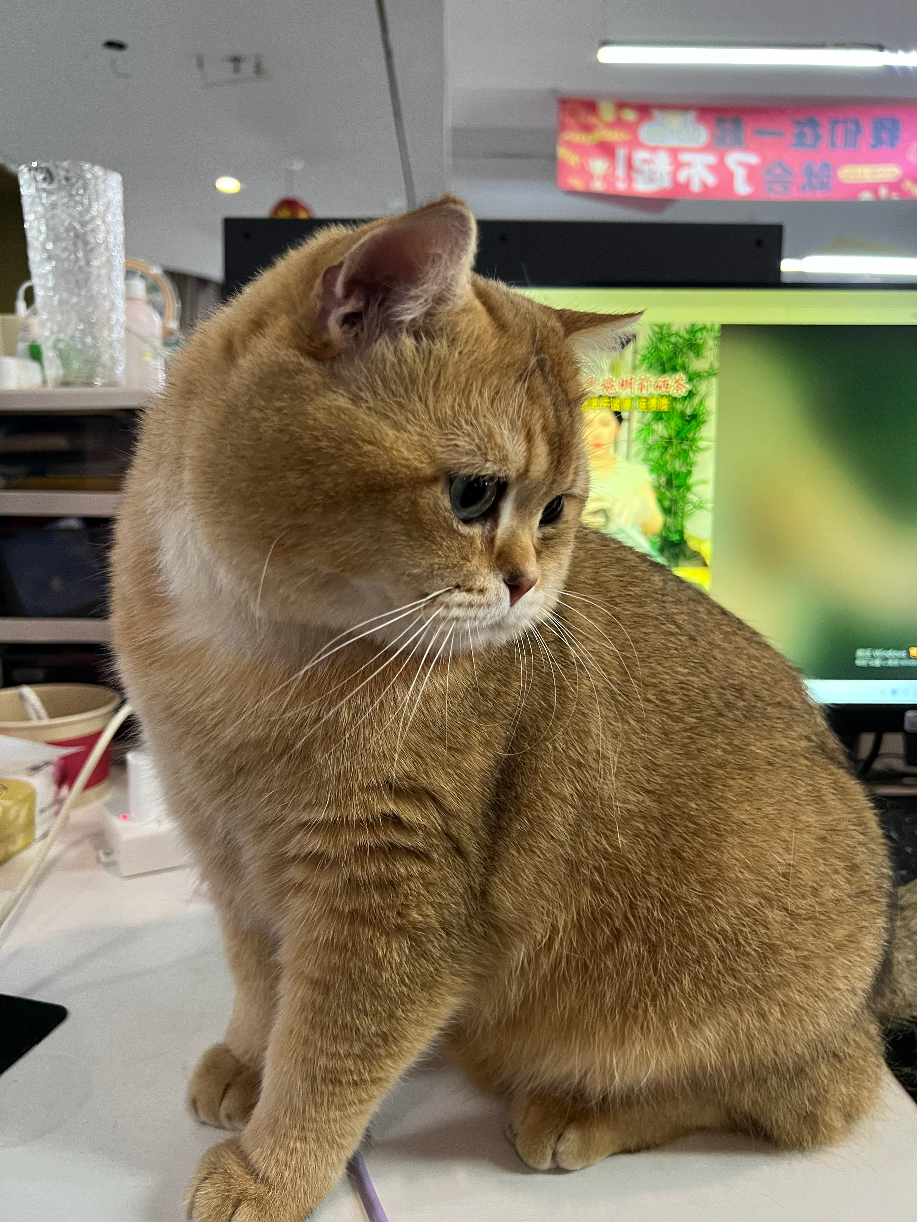 好烦啊上班第一天同事就抢我位置