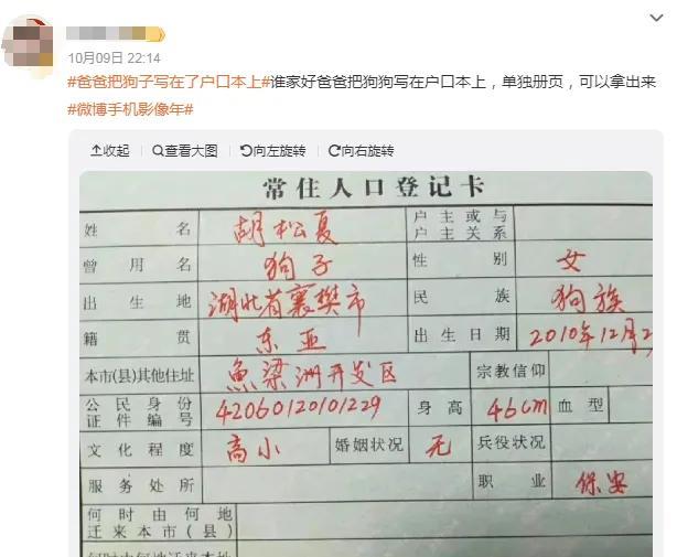 某些养狗人的脑子跟平常人不一样，做出来的事情真是让人理解不了。对狗有感情这个不评