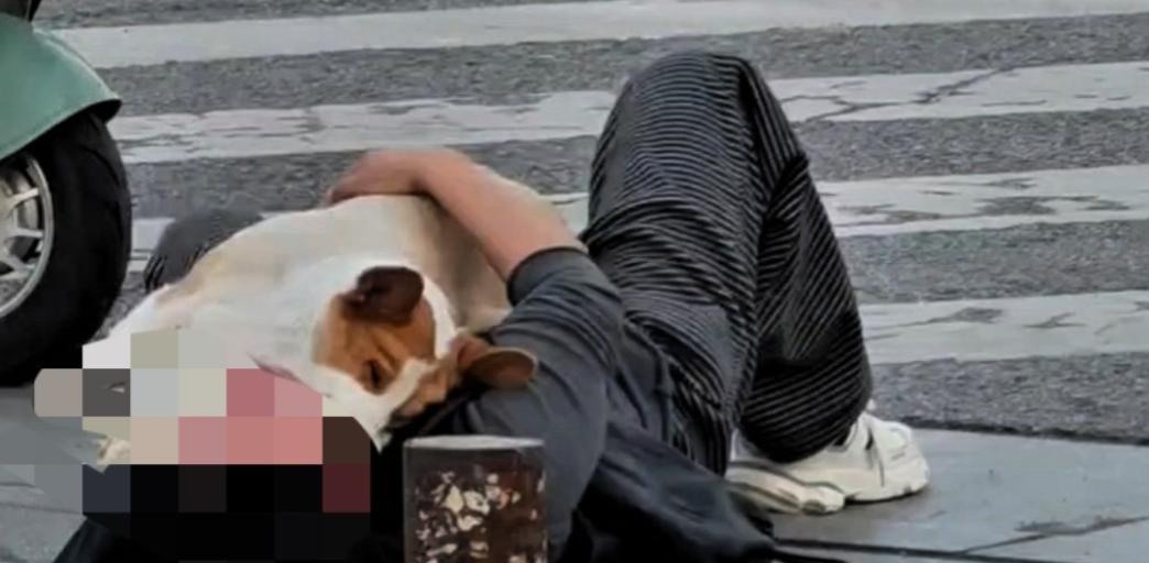 “悔得直拍大腿！”一老太在小区散步被未拴绳烈性犬撞倒后不幸离世，家属找狗主索赔
