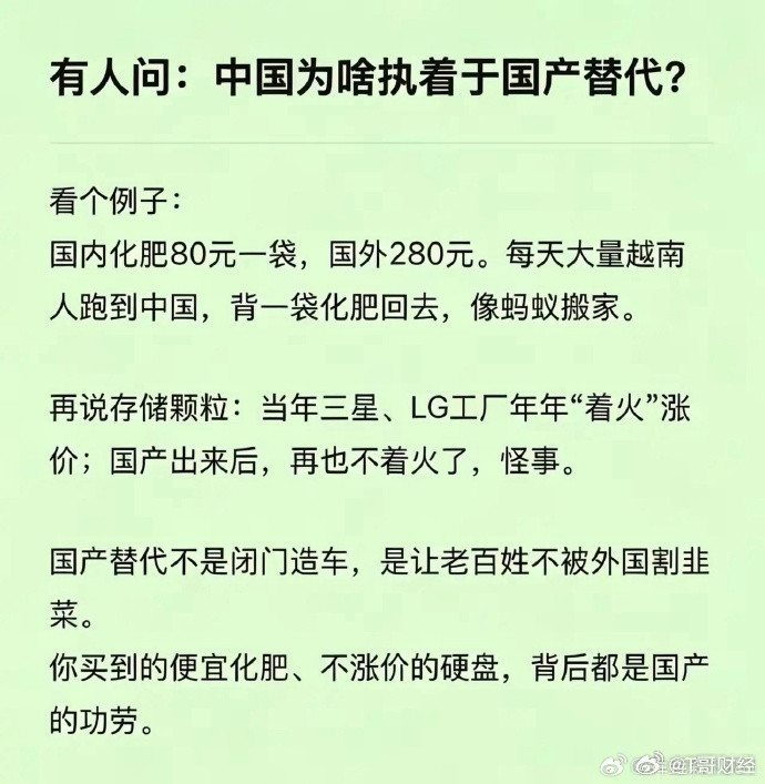 中国为啥执着于国产替代？
