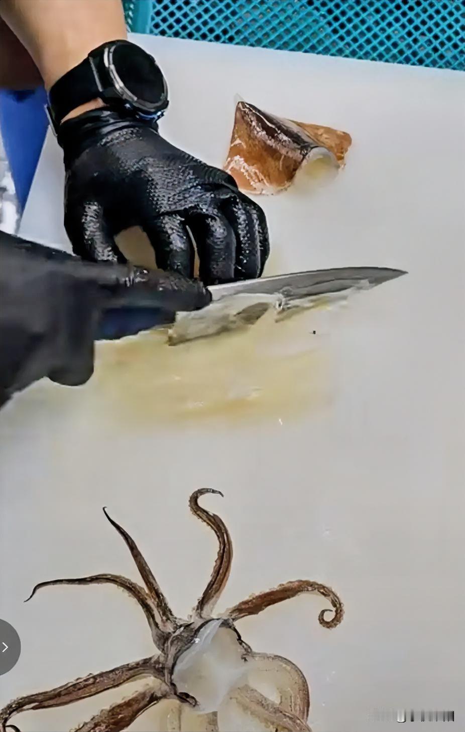 手起刀落，行若流水，一条活墨鱼眼睁睁的看着自己的身体被厨师切成一条一条的丝，等身