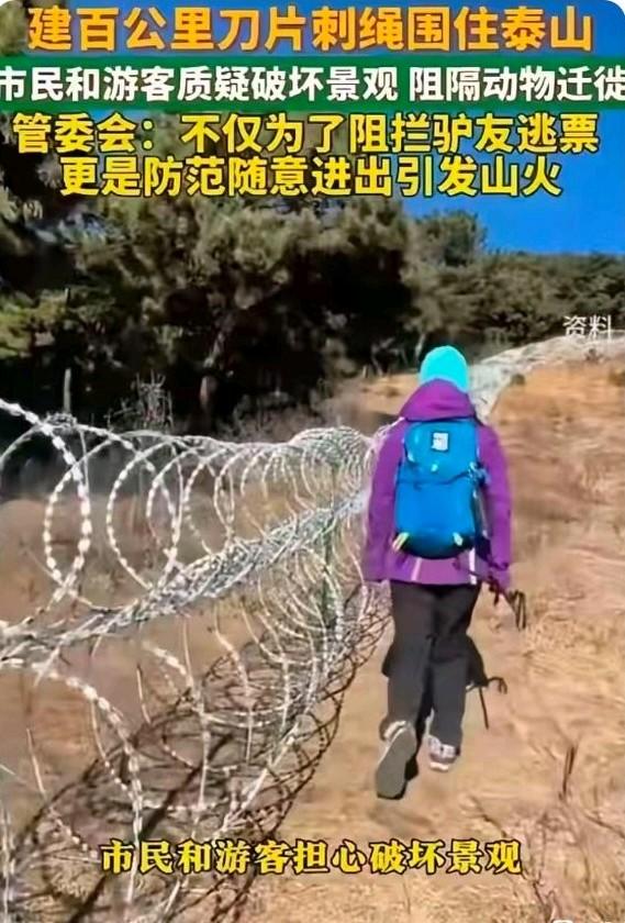 动物究竟招谁惹谁了？泰山为防逃票，竟围起了长达135公里的刀片防护网。结果，遭殃