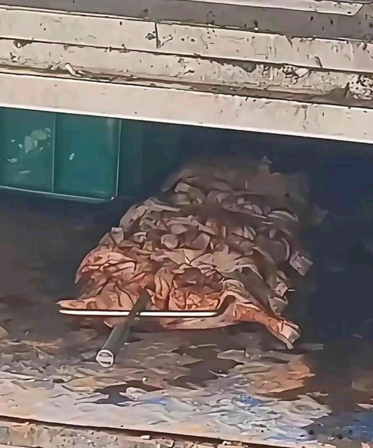 所以说为什么，路边摊尽量还是要少吃