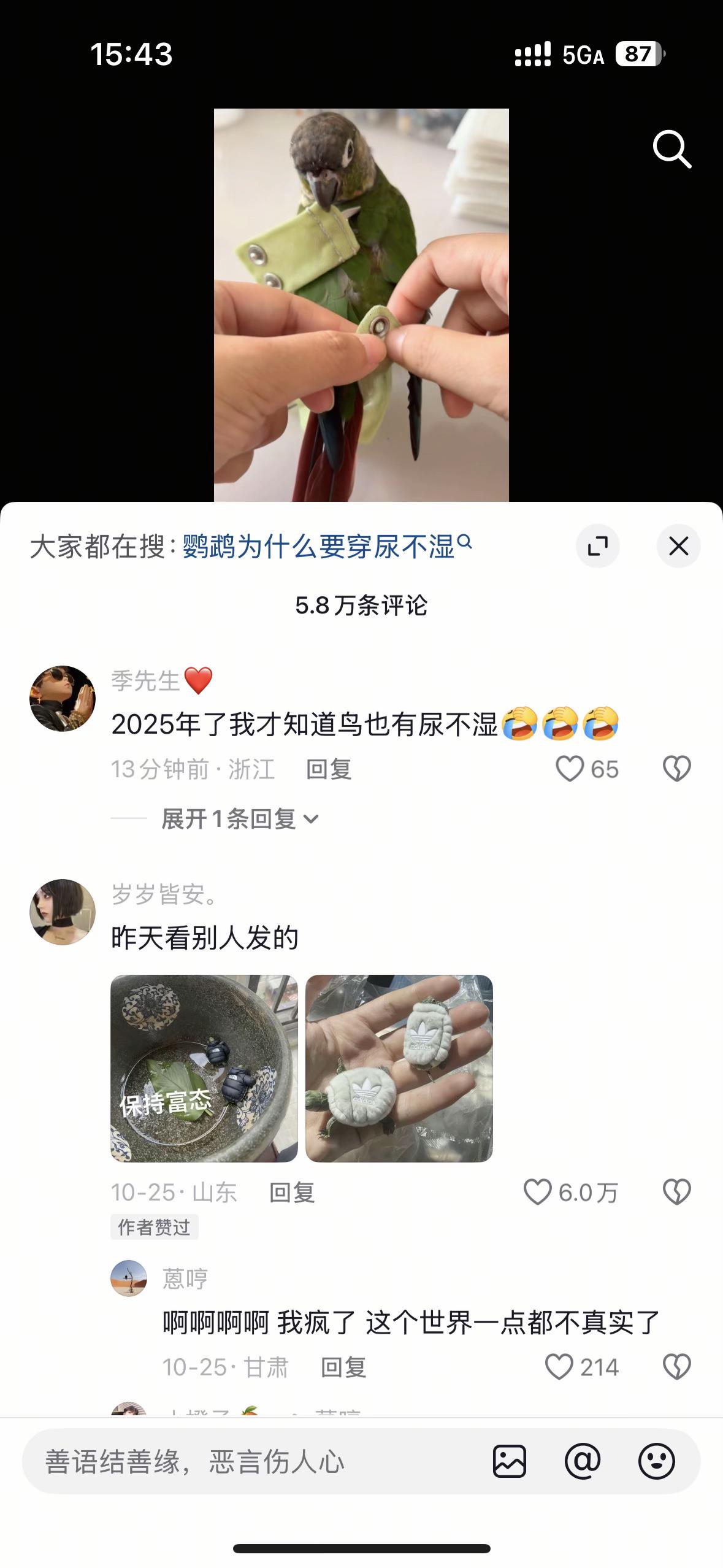 我疯了，这个世界一点都不真实