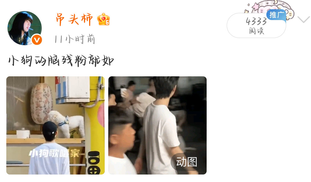 求意义什么都举是何意
