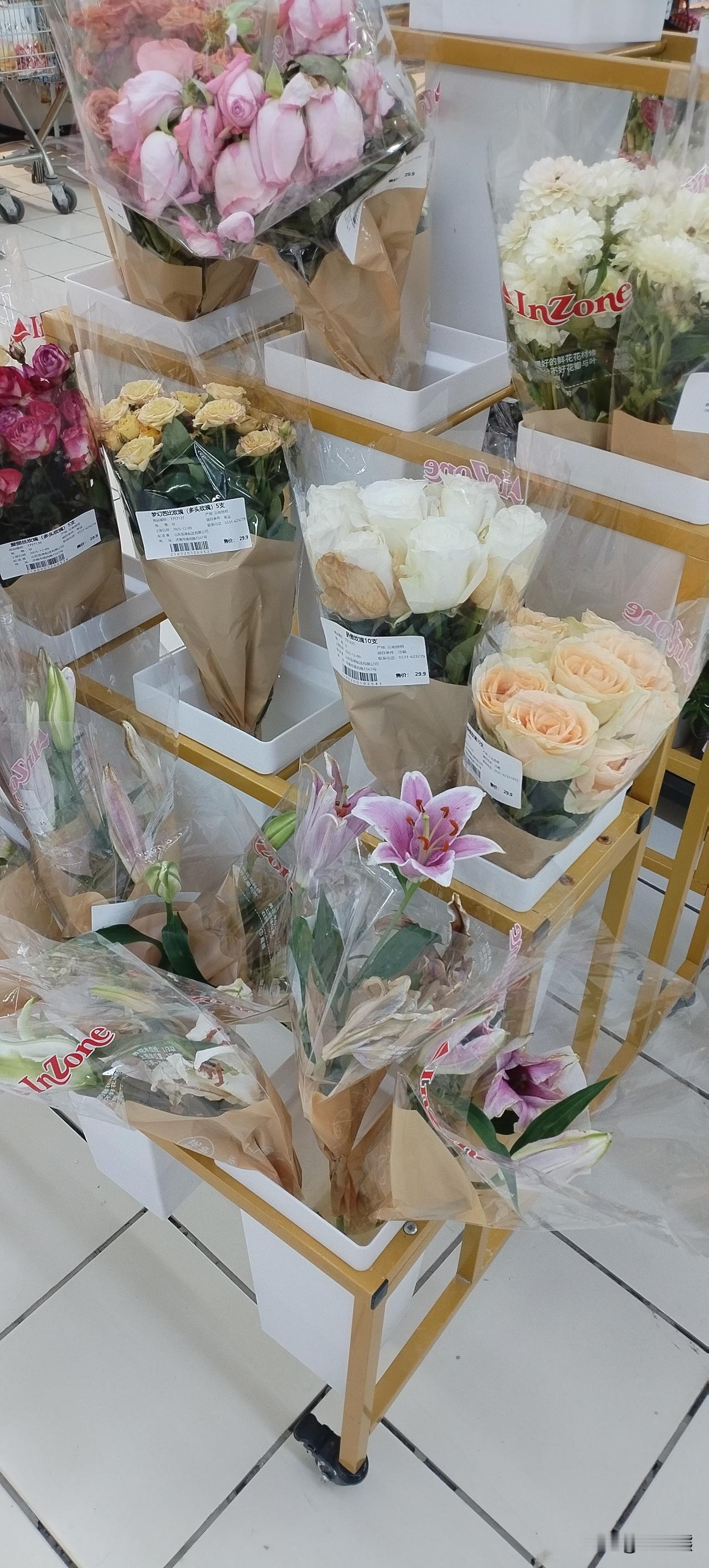 猫养的久了，也不会像养猫的人。反正我家养的猫不像我，这只猫是我跟我妈专门去市场