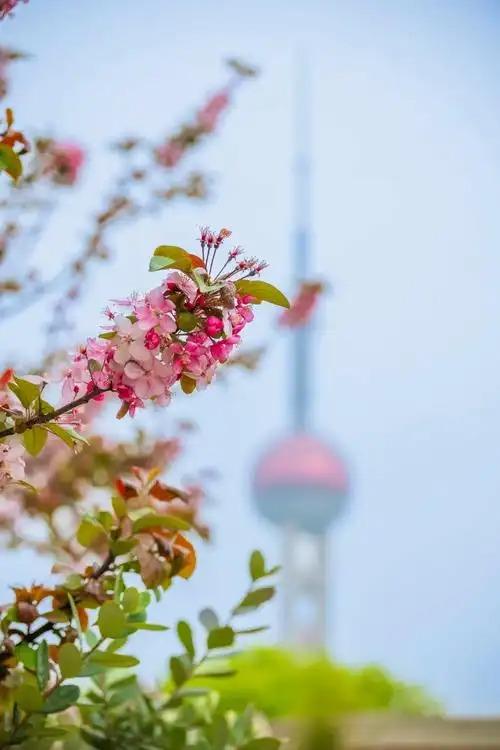 你有没有发现，有些父母爱孩子的方式，其实是在把孩子往外推？这话可能不太中听，