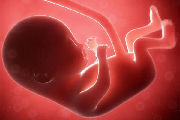 孕妈腹痛难忍情况危急, 婆婆的做法让人咬牙切齿