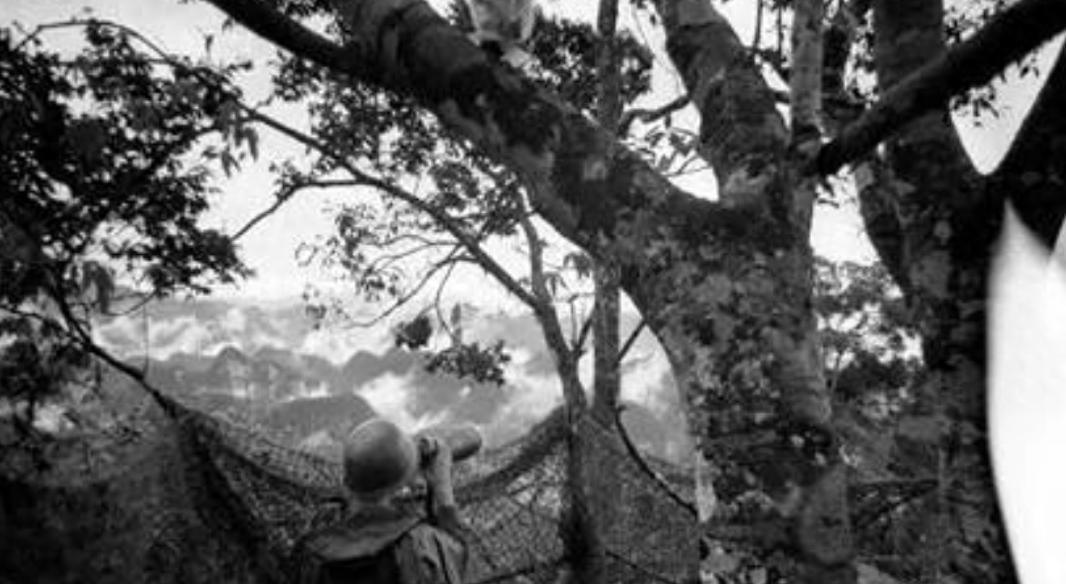 女兵讲述亲身经历：对越自卫反击战中新兵因经验不足躲树后惨遭越军射杀1979年2