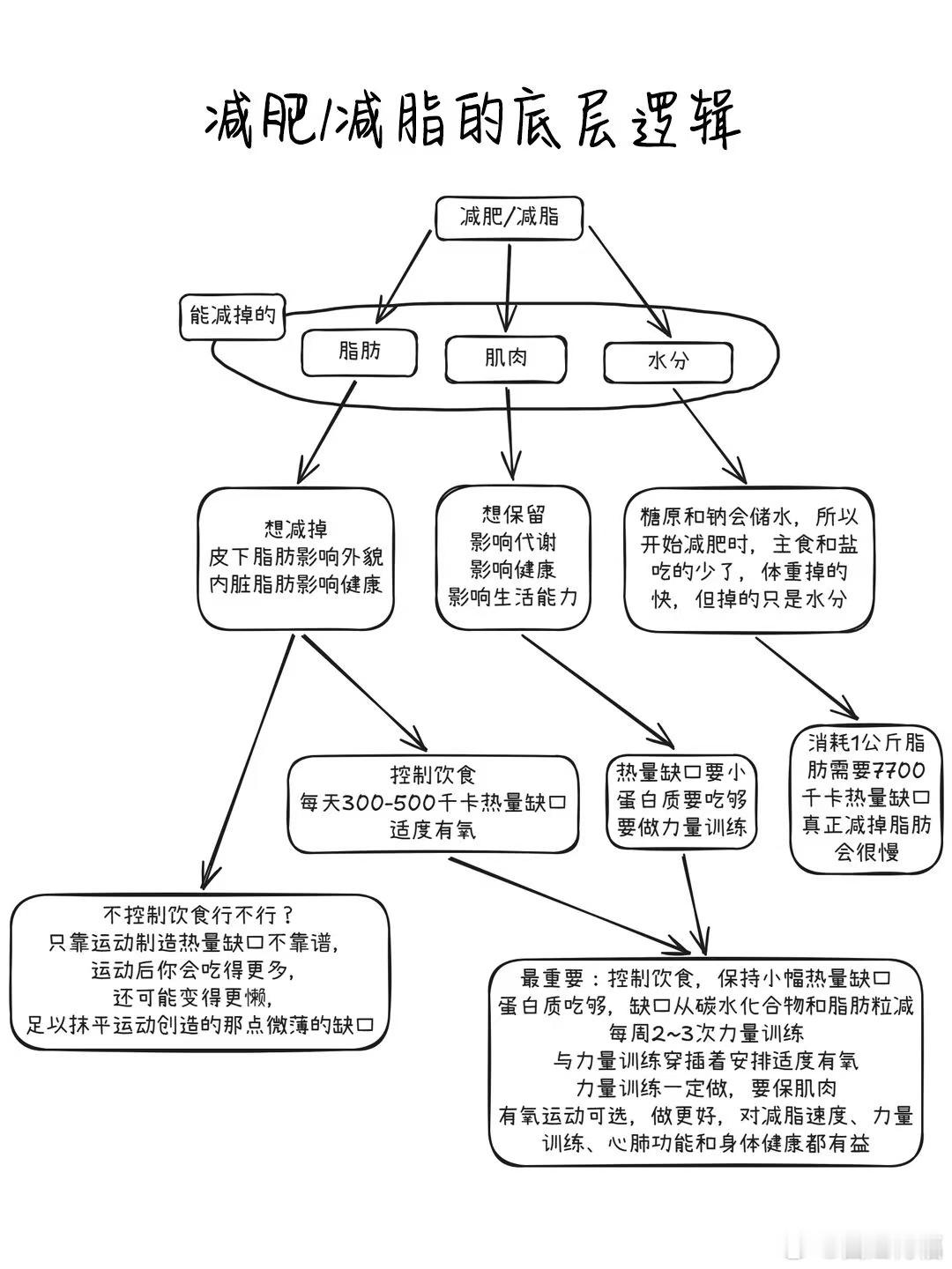 有人问：我减肥总反弹，是不是方法不对？减脂的底层逻辑到底是什么？答：今...