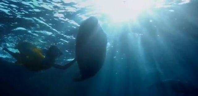 范元成_范元成收入(3)