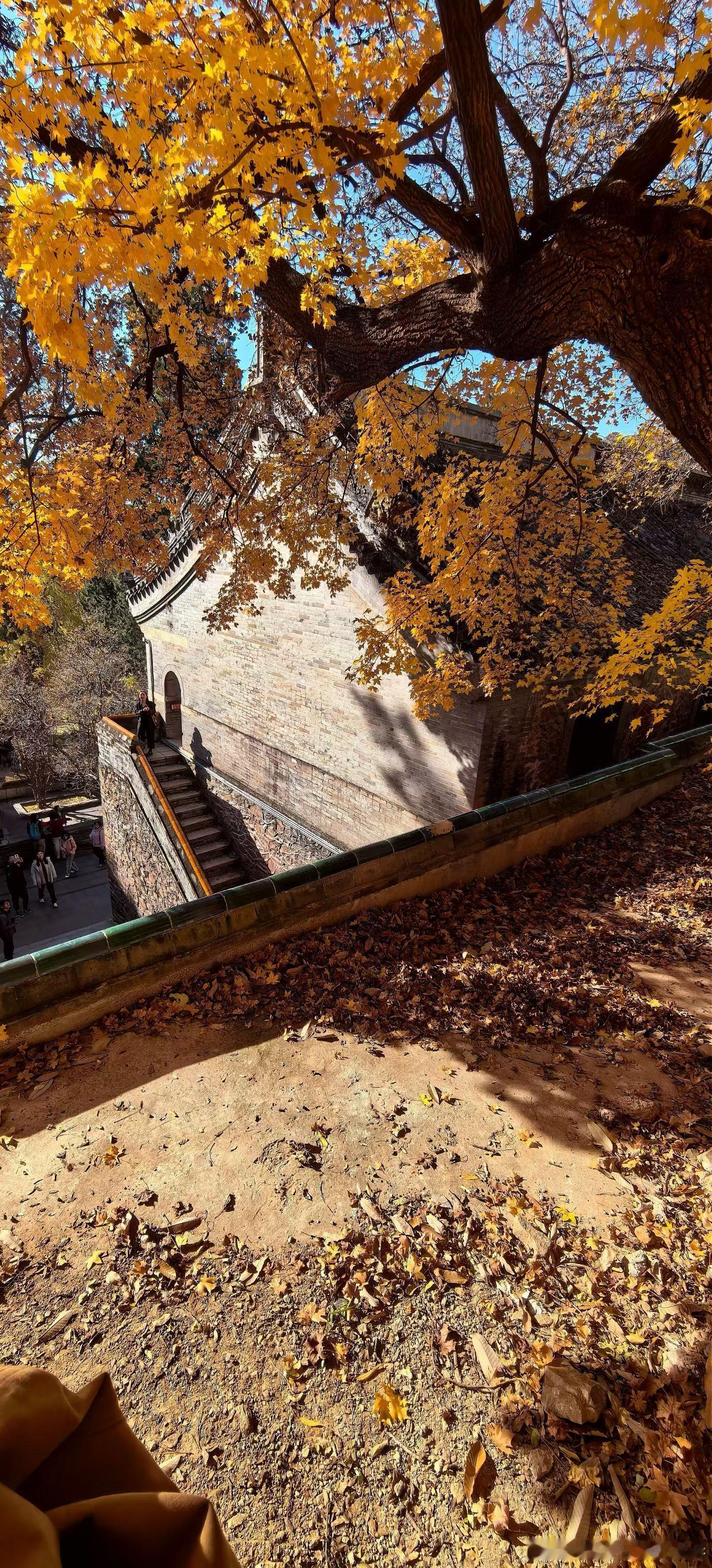 深秋赴潭柘寺之约，香火袅袅里藏着满院禅意，上香的人络绎不绝，烟火气与古寺静谧撞了