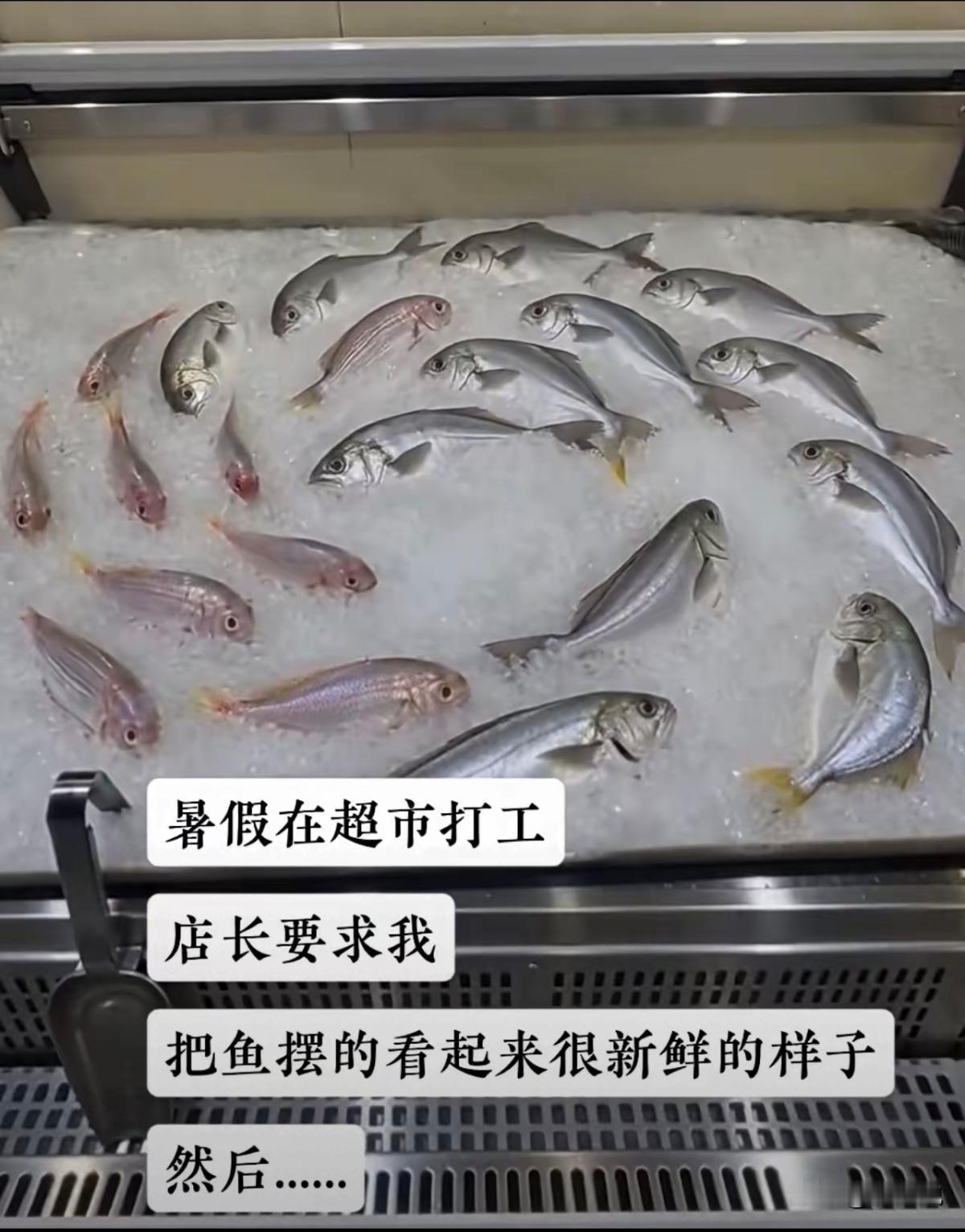 新脑子运转就是快