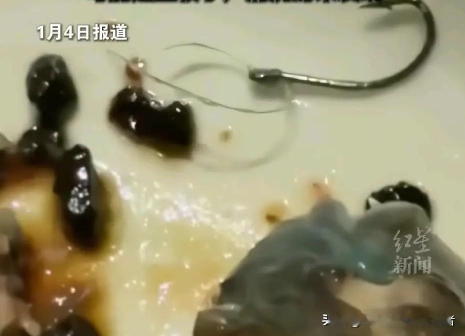 上海米其林餐厅吃出鱼钩！6000元餐全免单，网友吐槽太讽刺2026年1月，