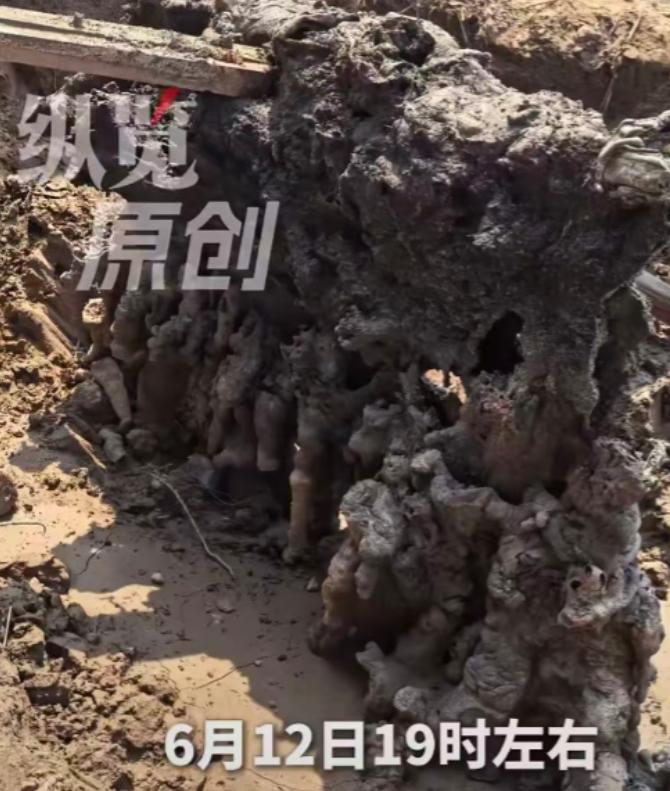 “太邪乎了！”河北衡水，6月12日傍晚一场强雷雨刚过，一村民就发现自家麦