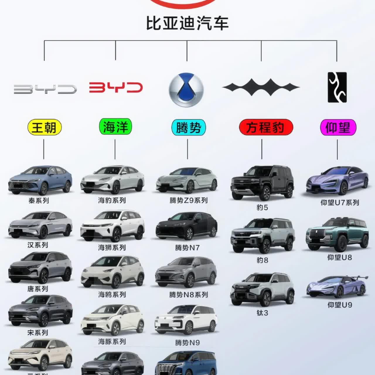个人认为比亚迪这几个牌子在理想情况下价格应该这样分：王朝海洋：主要卖30