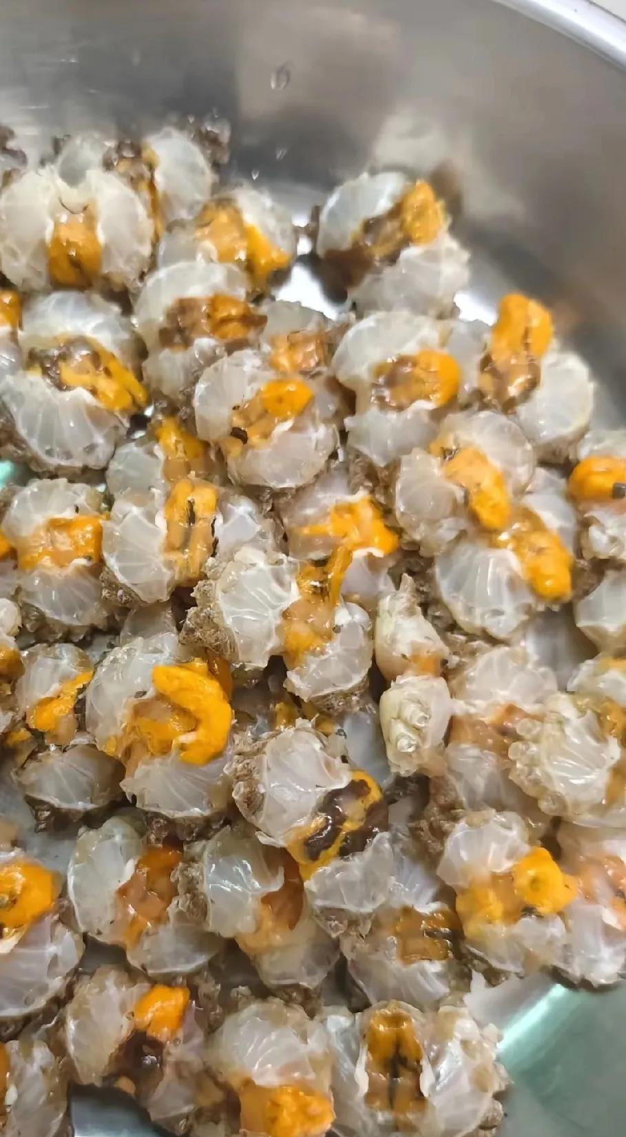 开心！去广东看闺蜜，她带我去排挡吃饭，服务员端出一盘菜，很好看，白肉肉中夹着一点