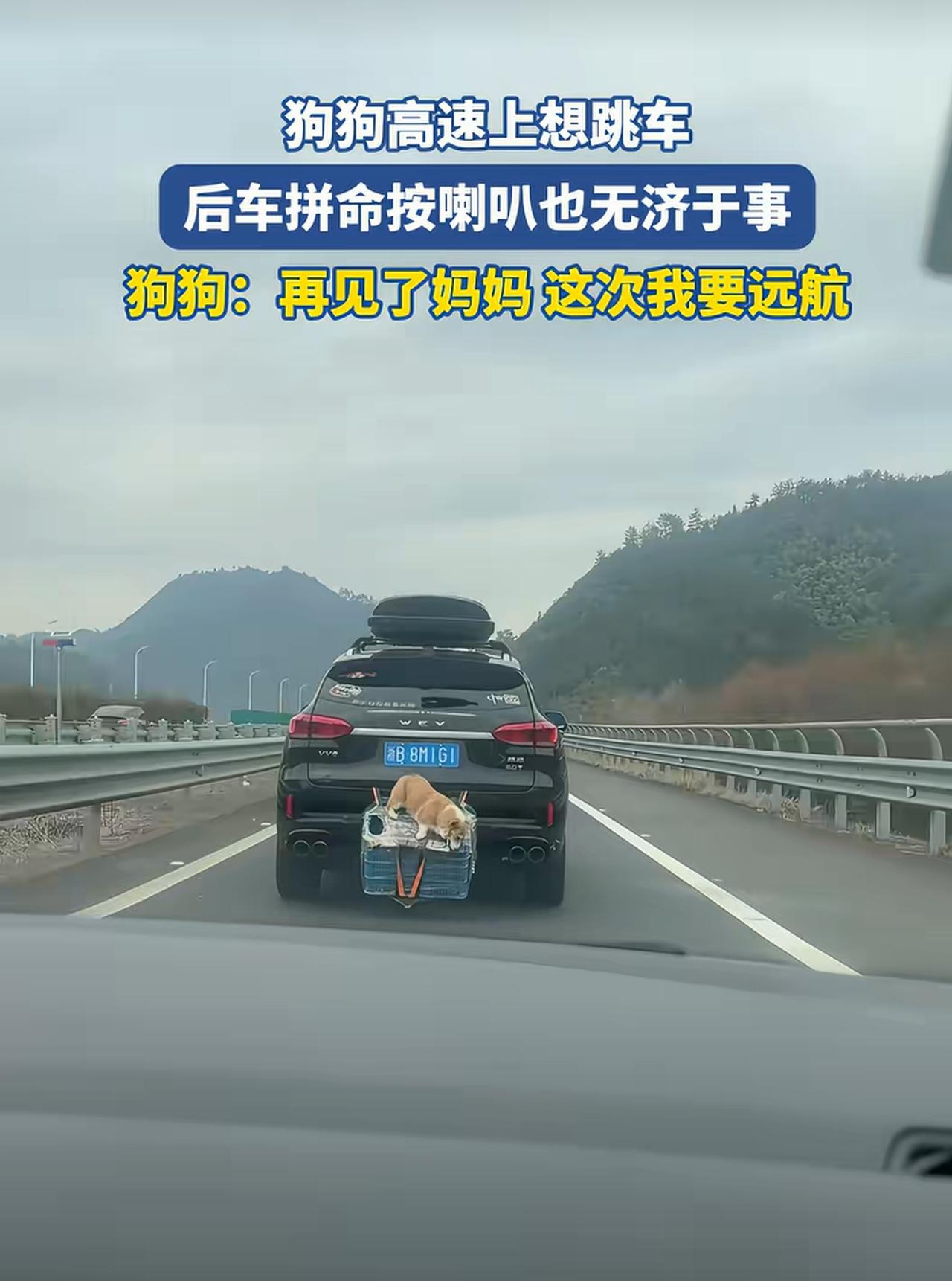 有些司机开车是聋子一样，外面的提醒什么都听不到。