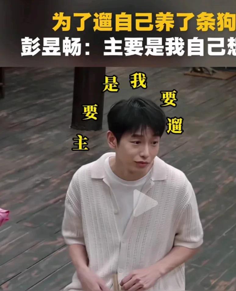 彭昱畅告诉你养狗到底是为了啥？彭昱畅的回答得到了很多网友的支持。原来彭昱畅养狗