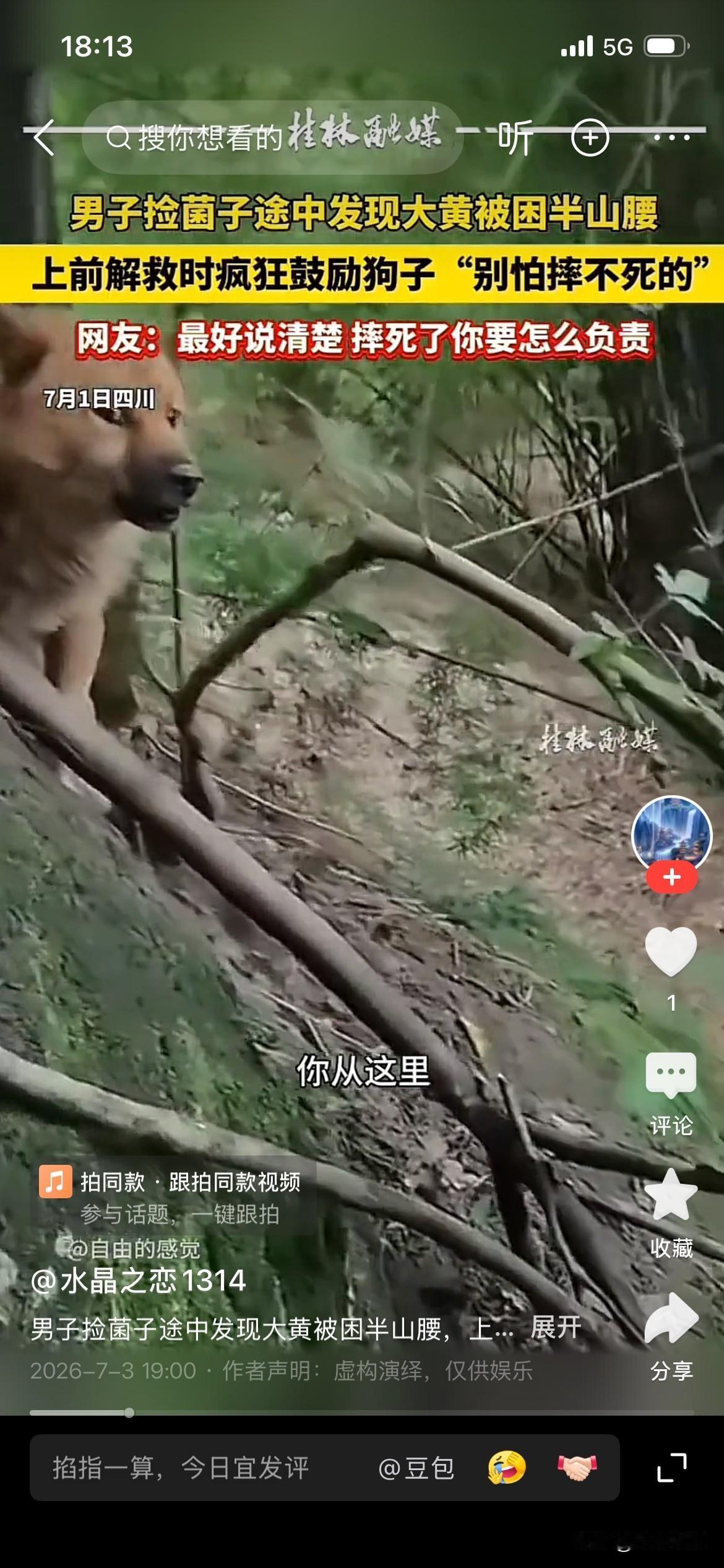 四川，一名男子在进山采摘菌子时，竟然在同一个陡峭的山腰上连续三次发现了一只被困的