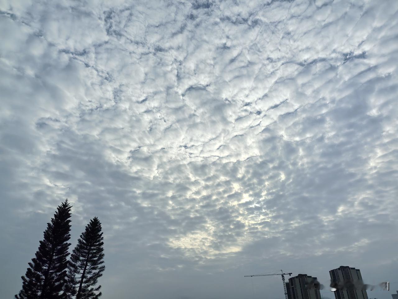 北方已经入冬，广东人还在过夏天！小伙伴们！短袖先别急着收起来，广东一般