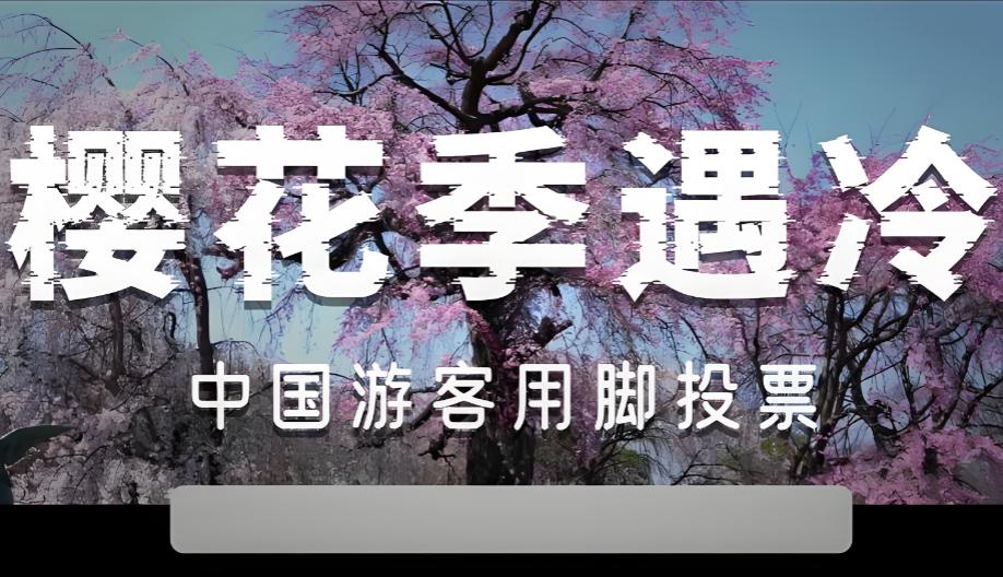 现在日本终于慌了，五一假期，樱花季已经跟日本无关了，因为中国旅客正在用脚投票