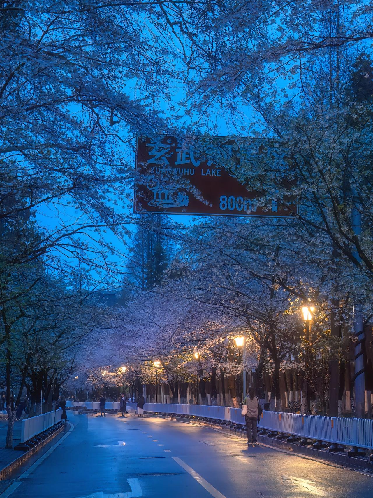 一组关于南京的照片！