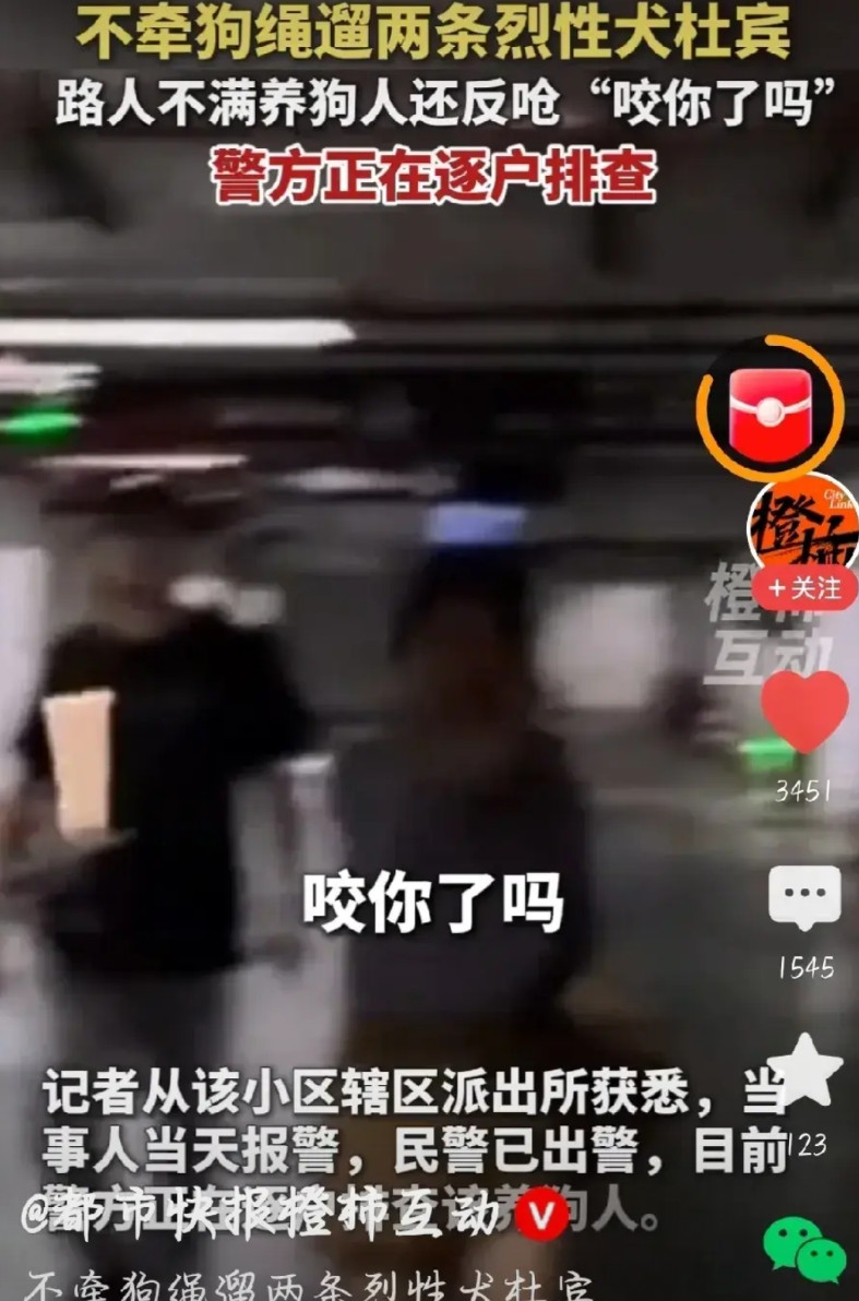 车库里不牵绳遛俩杜宾，还是烈性的，谁看了不发毛？路人多句嘴，养狗的还横：“