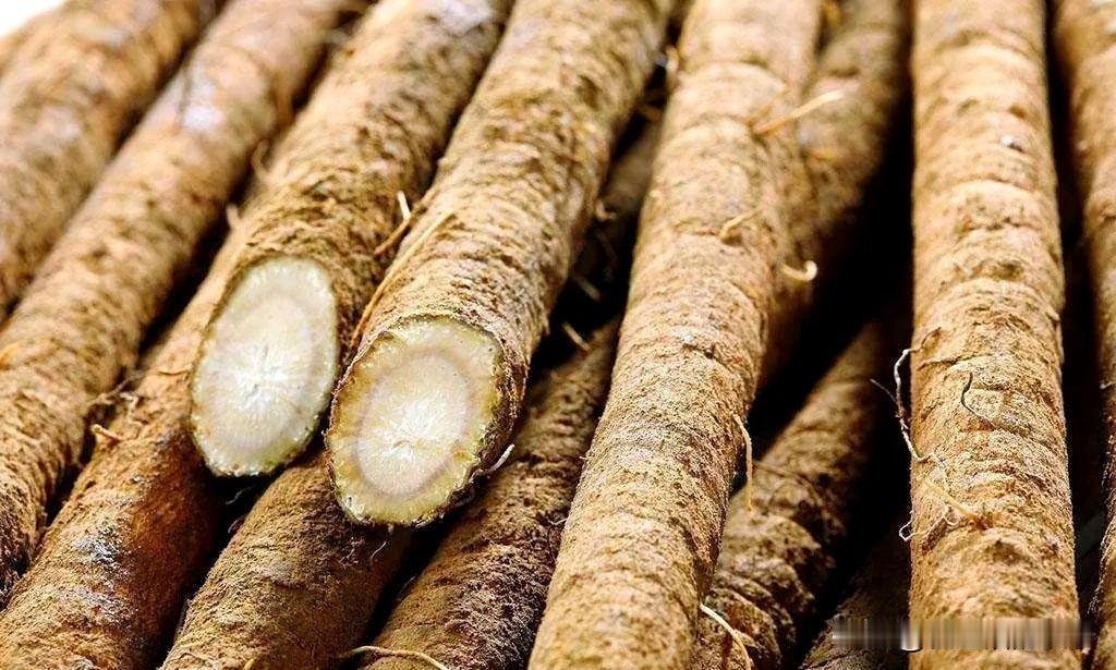 昨天，老妈炖了一锅牛蒡排骨汤，牛蒡是啥啊？我们吃过，临走叫我带一根回家。牛蒡